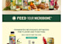 build squarespace website design, redesign squarespace website development